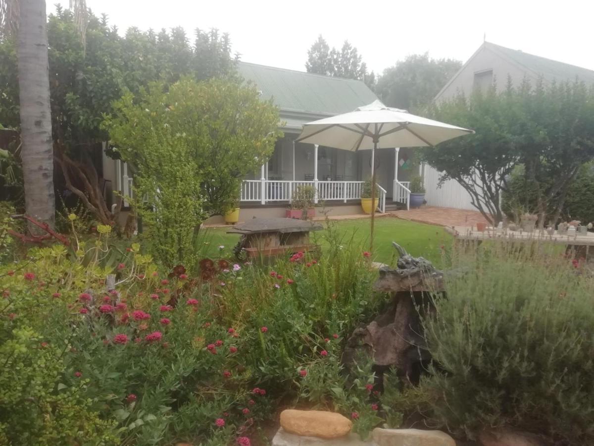 Housemartin Lodge & Self Catering De Rust Eksteriør bilde